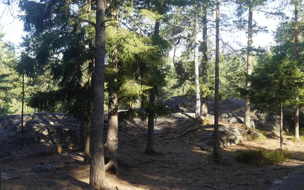 Kalkkiruukki