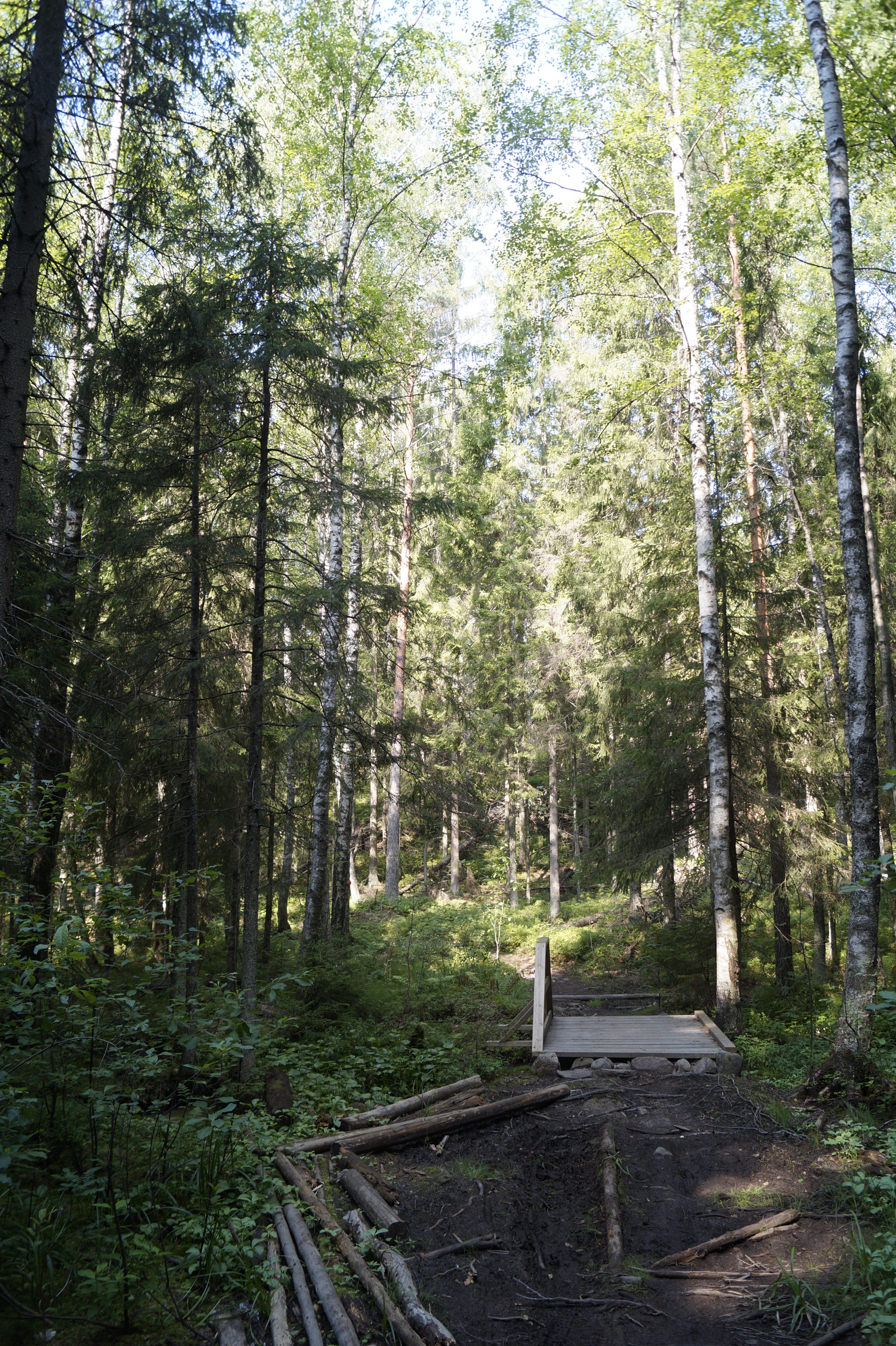Gallery Nature Photograph 11