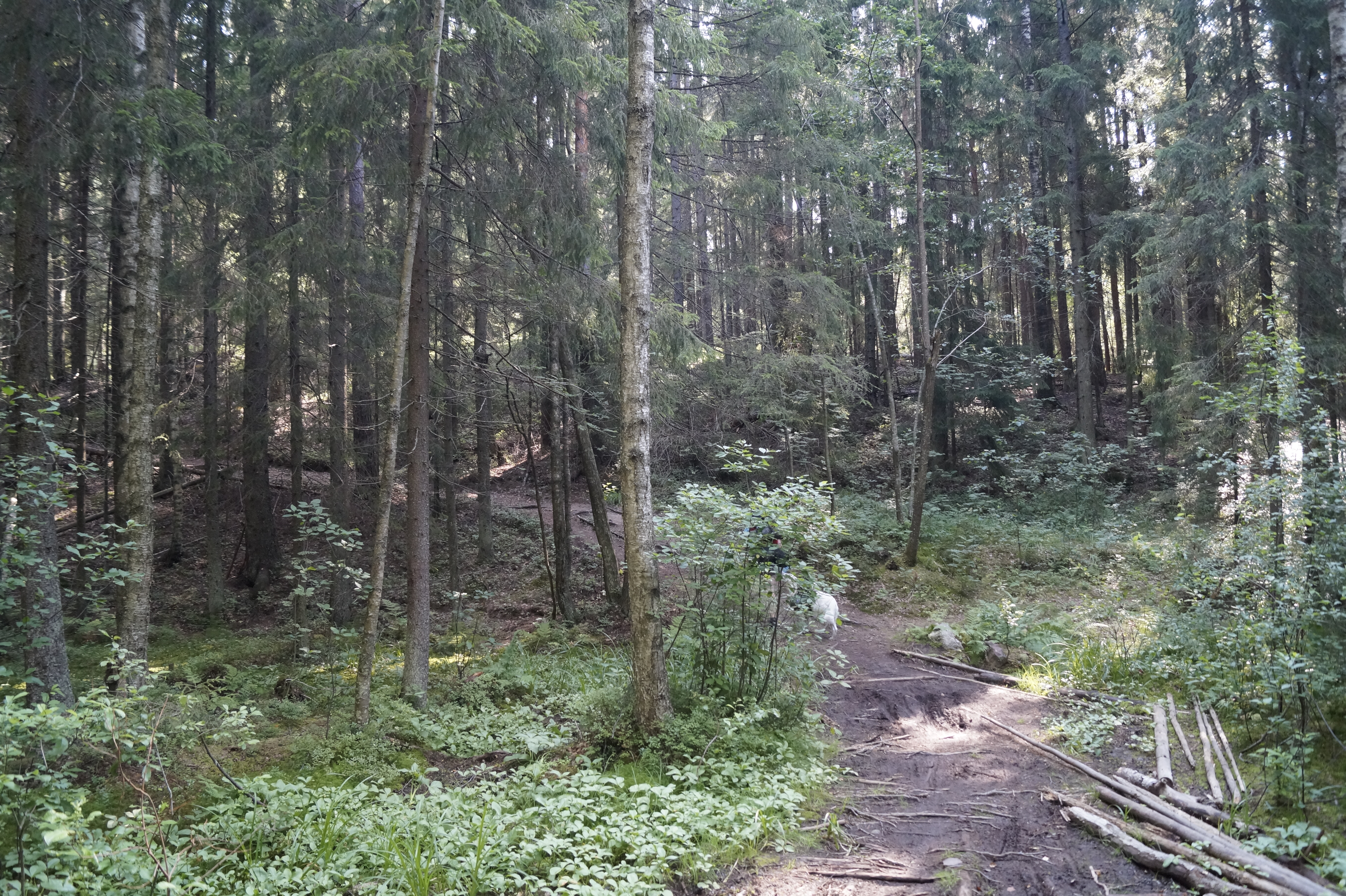 Gallery Nature Photograph 12