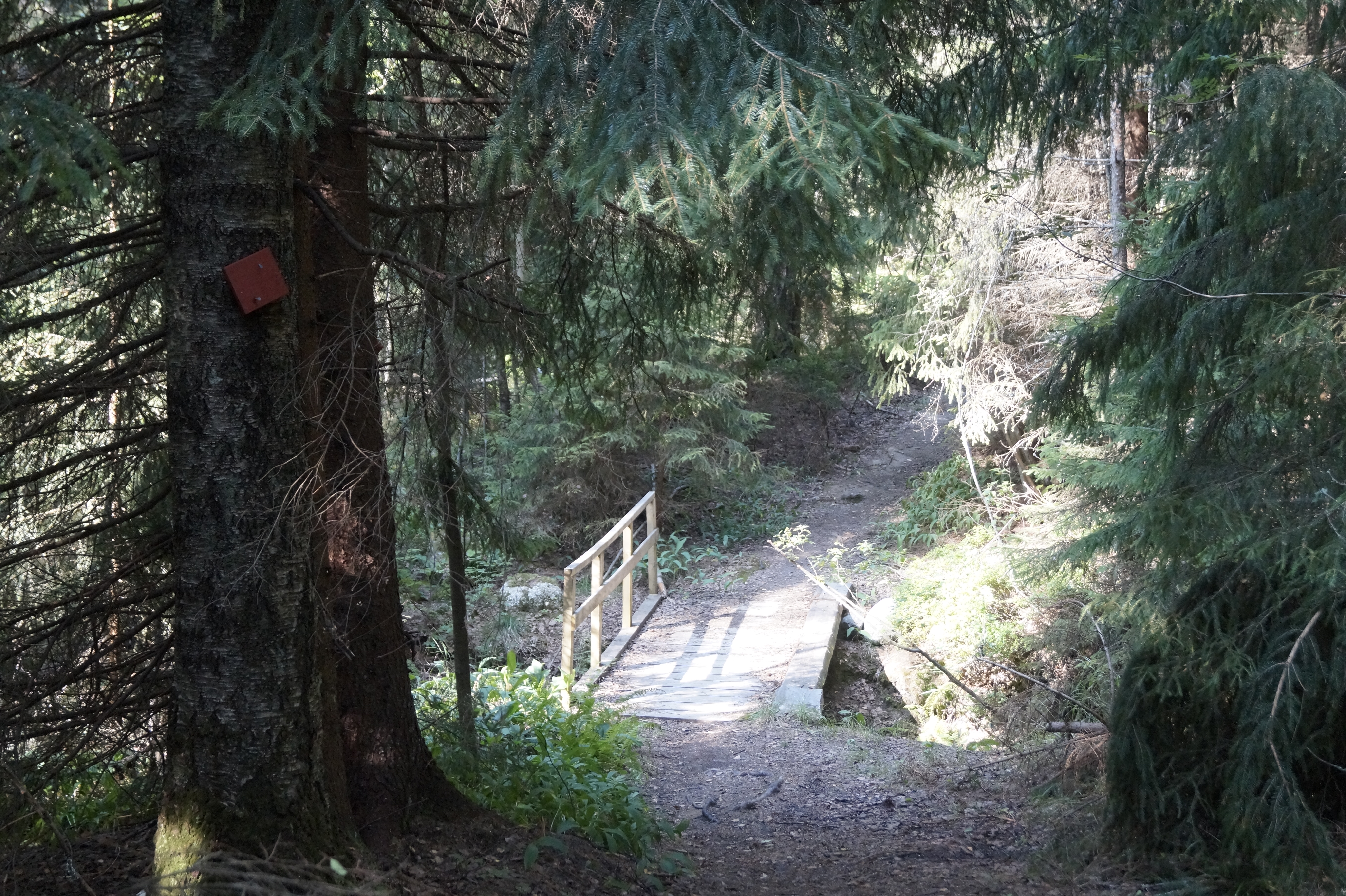 Gallery Nature Photograph 13