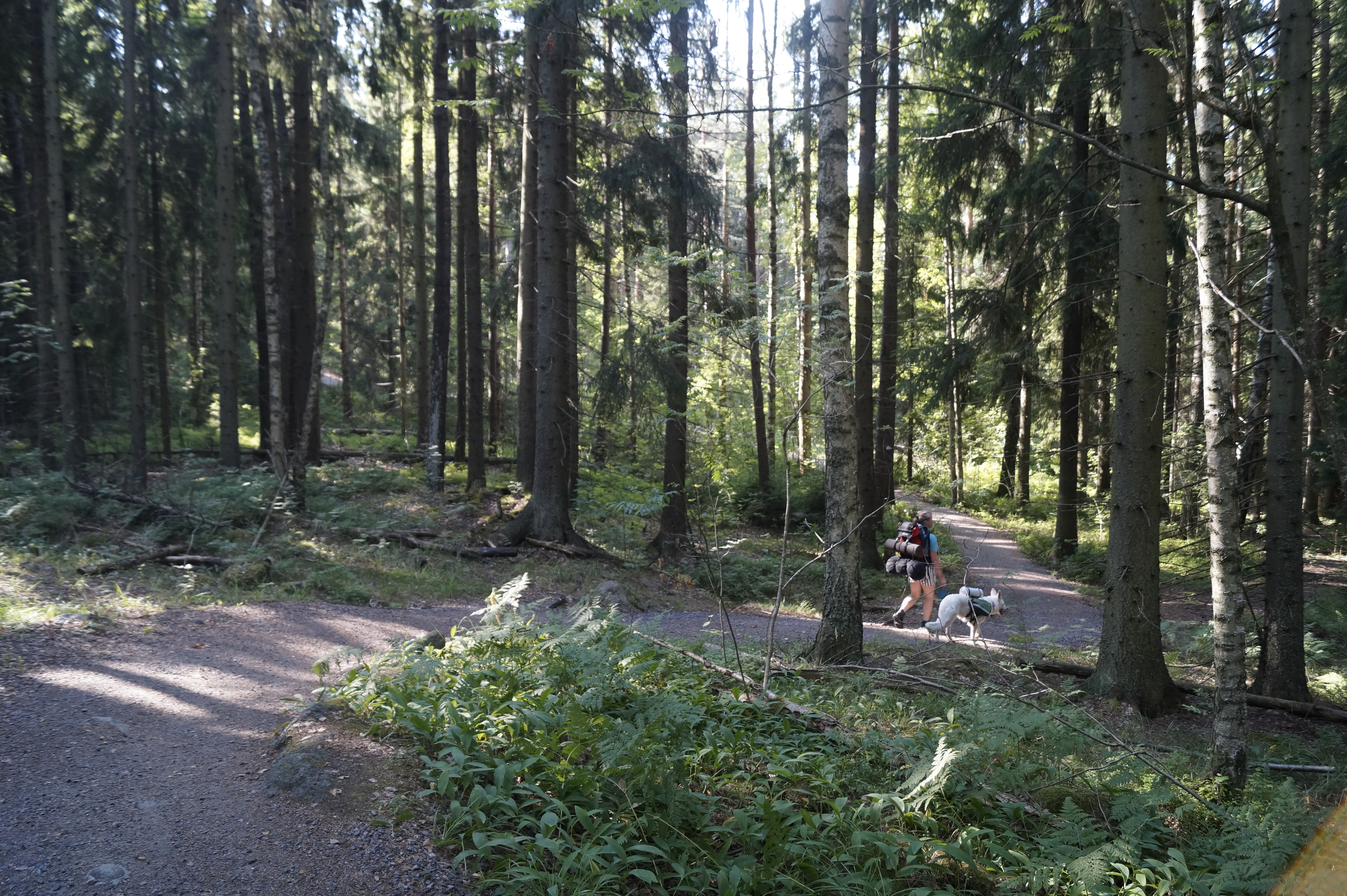 Gallery Nature Photograph 16
