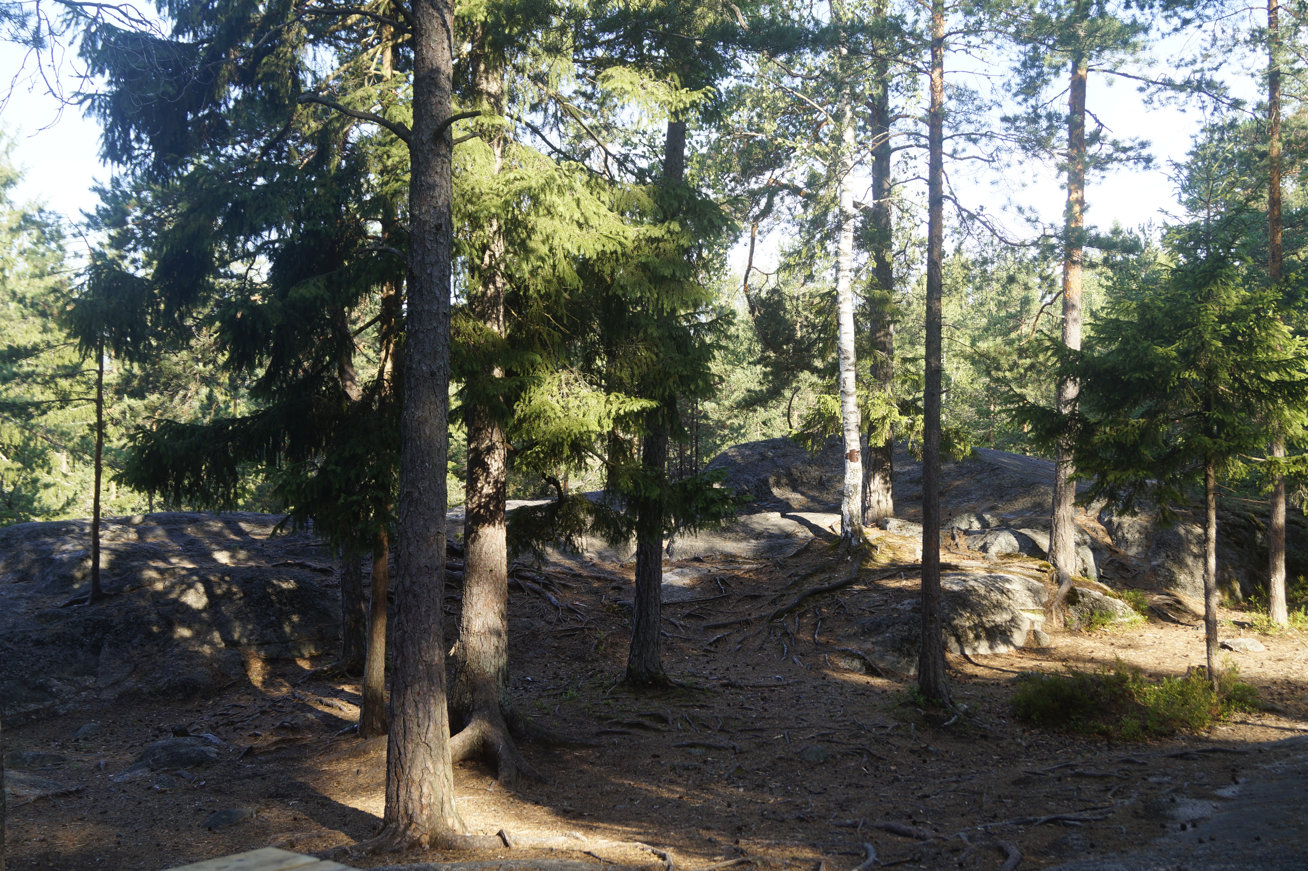 Gallery Nature Photograph 23