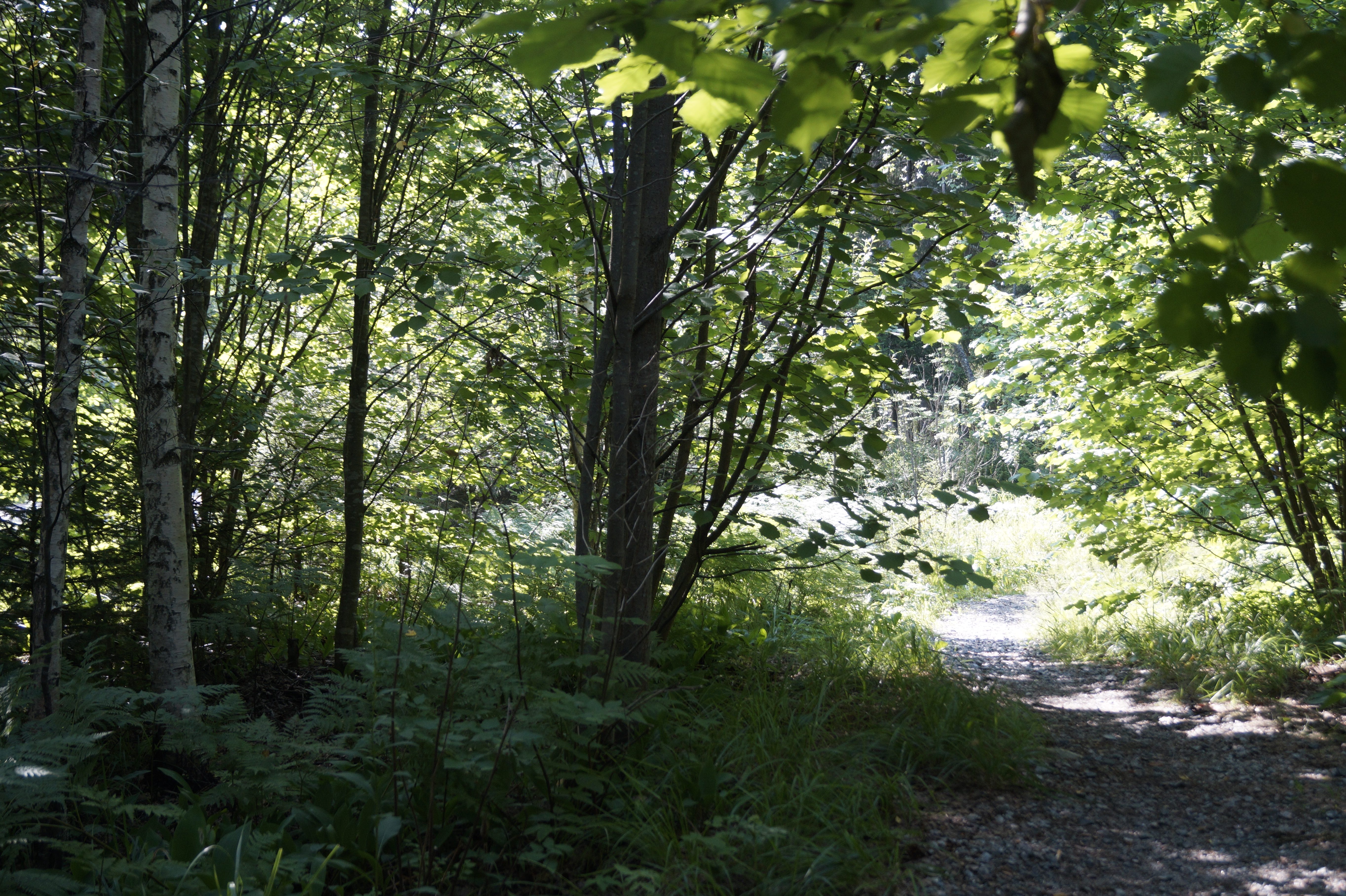 Gallery Nature Photograph 6