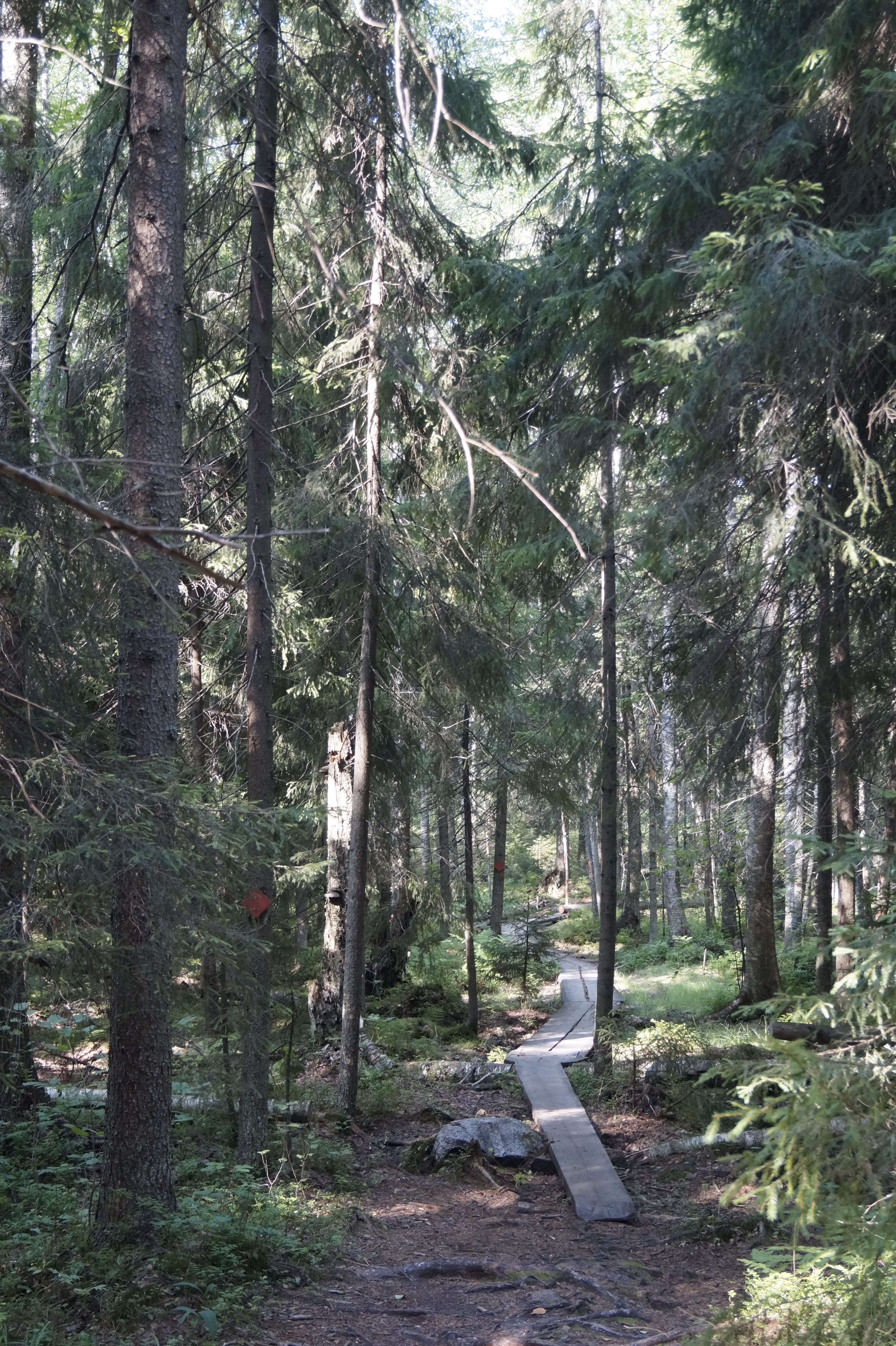 Gallery Nature Photograph 9