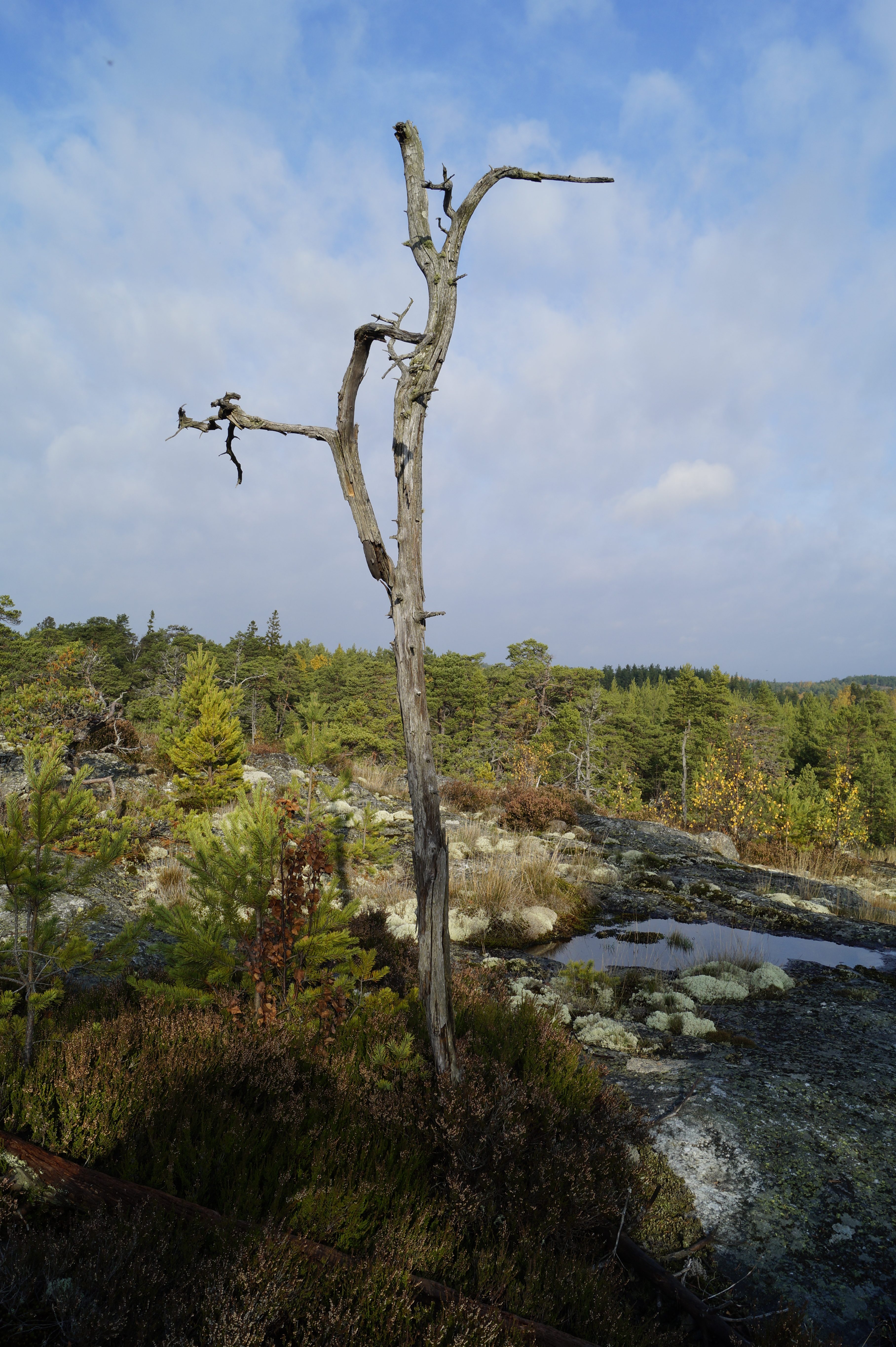 Gallery Nature Photograph 9