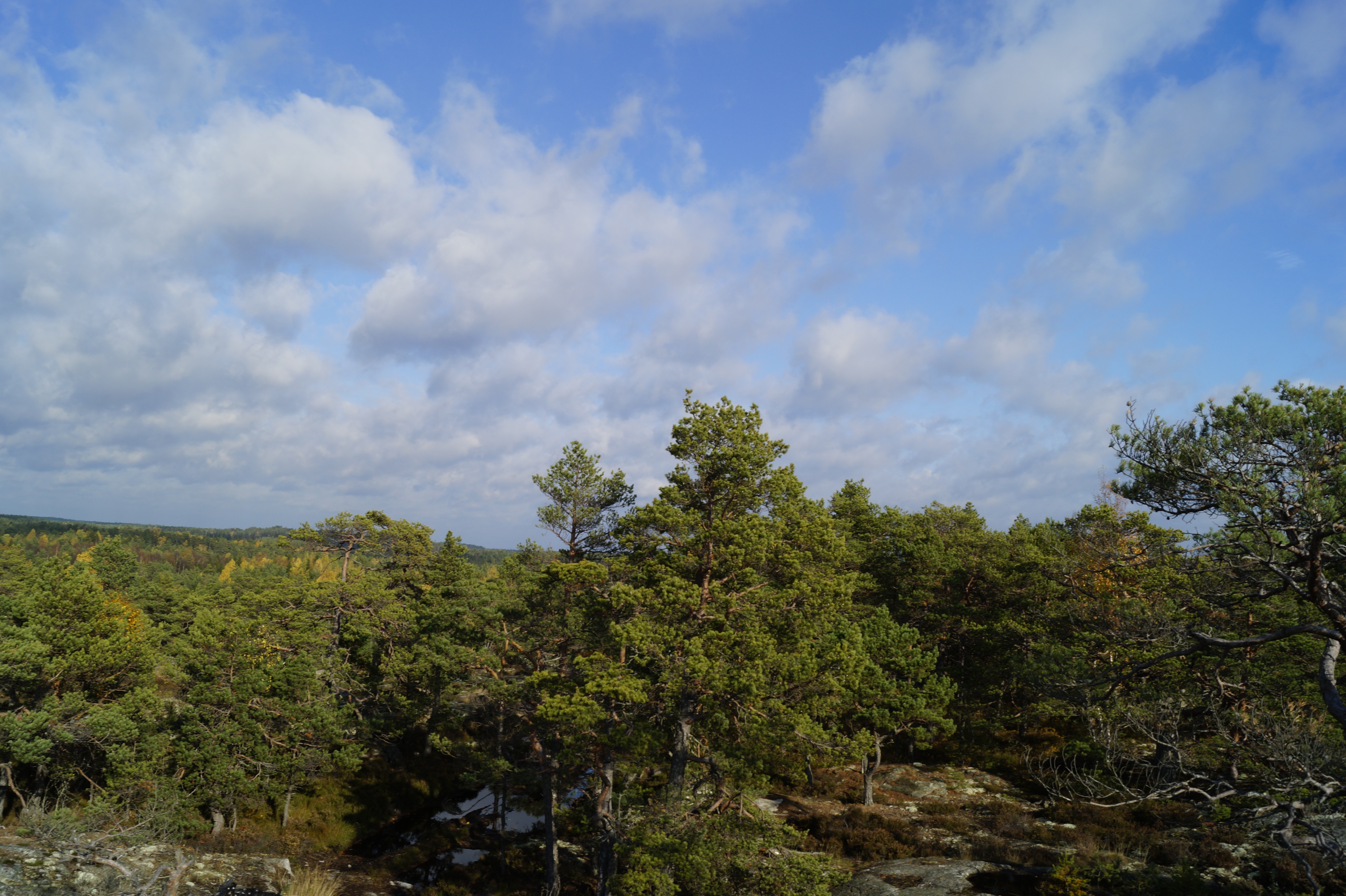 Gallery Nature Photograph 13