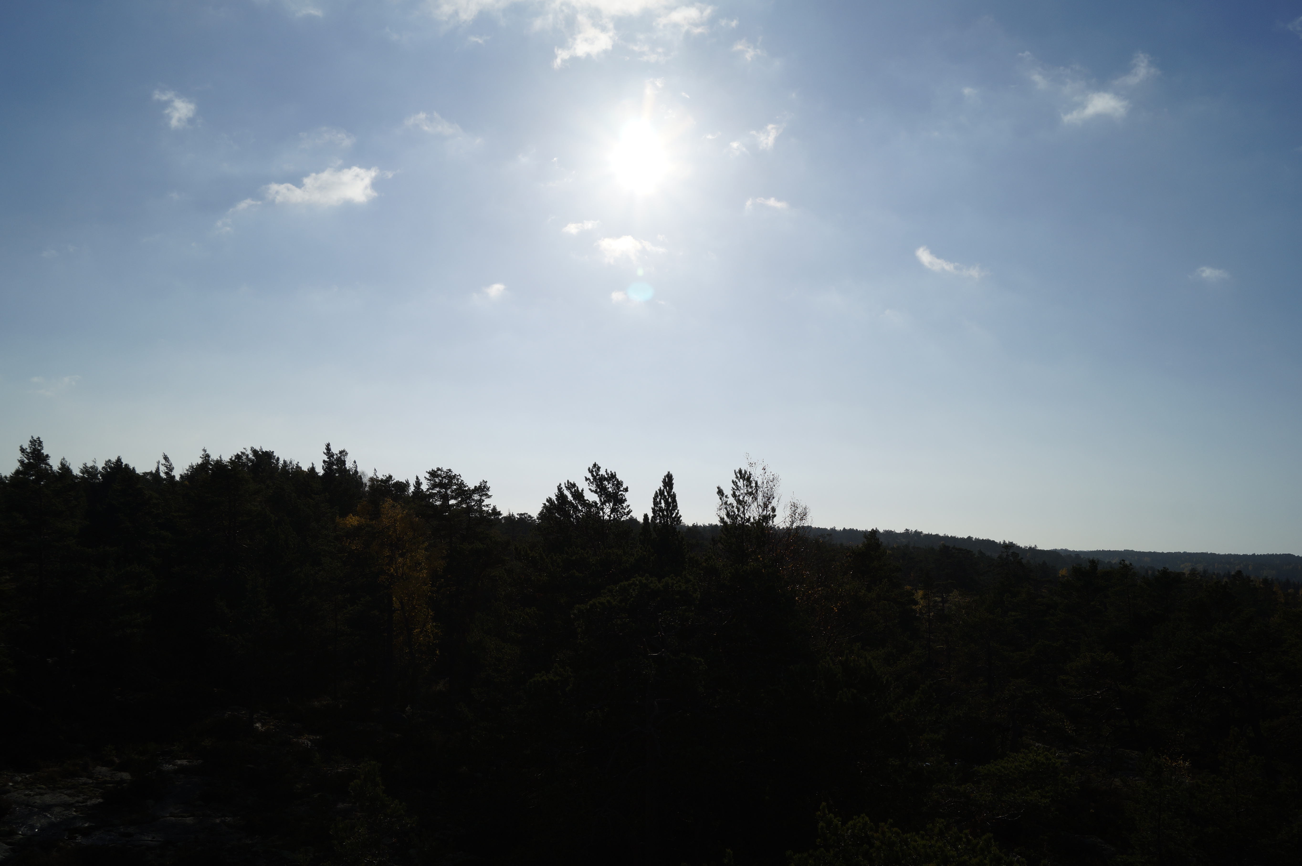 Gallery Nature Photograph 16