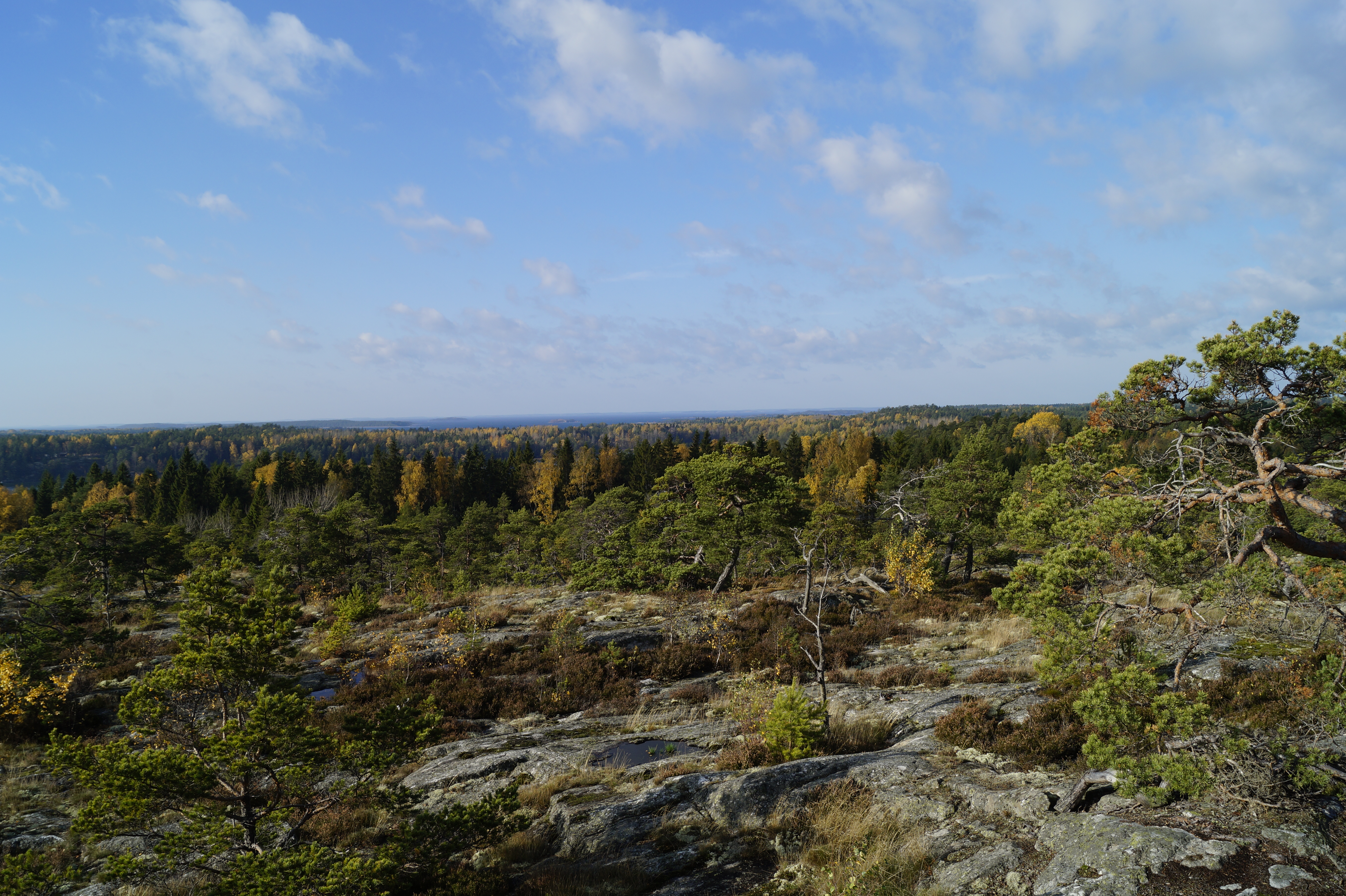 Gallery Nature Photograph 18