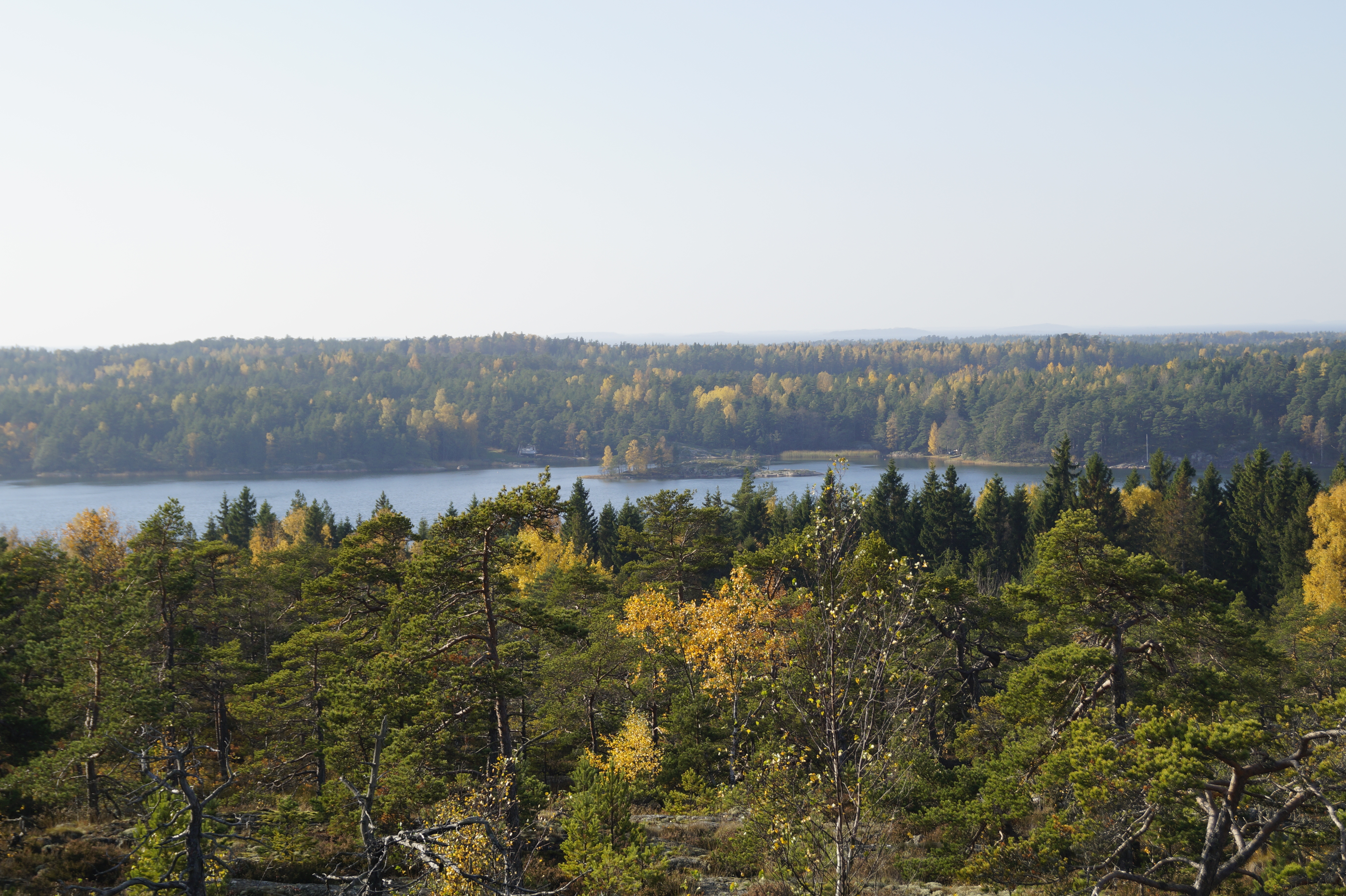 Gallery Nature Photograph 24
