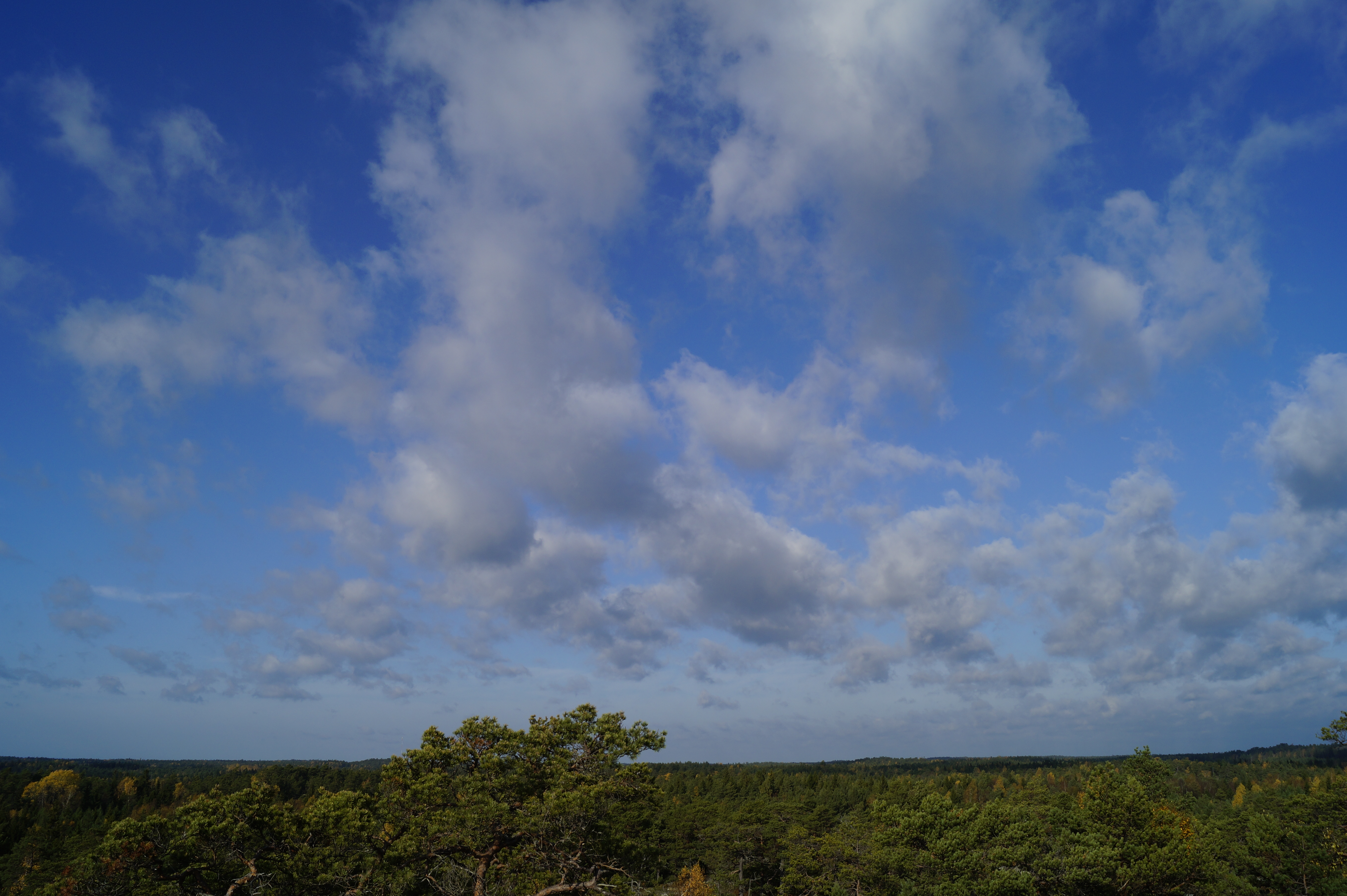 Gallery Nature Photograph 26