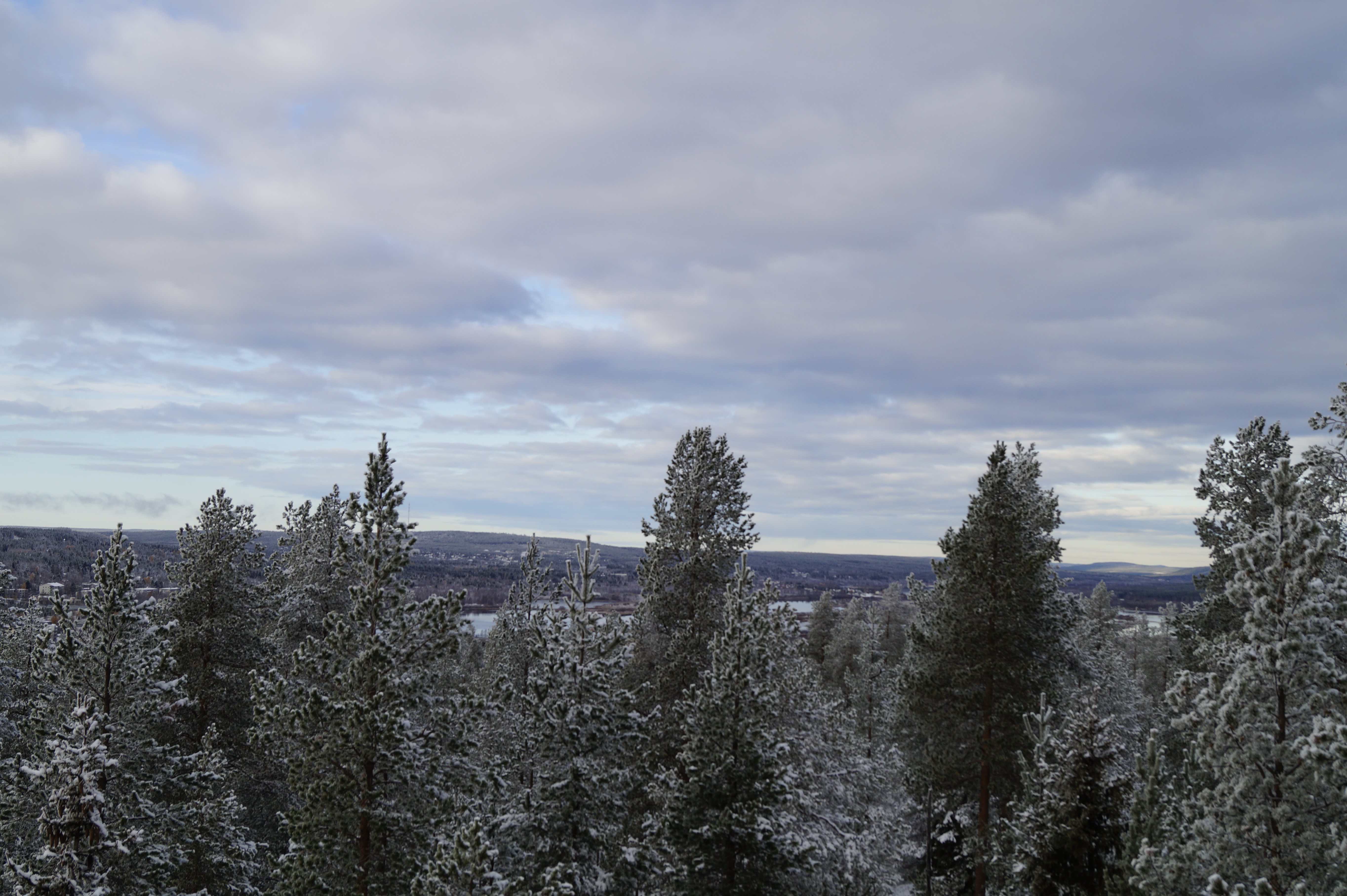 Gallery Nature Photograph 1