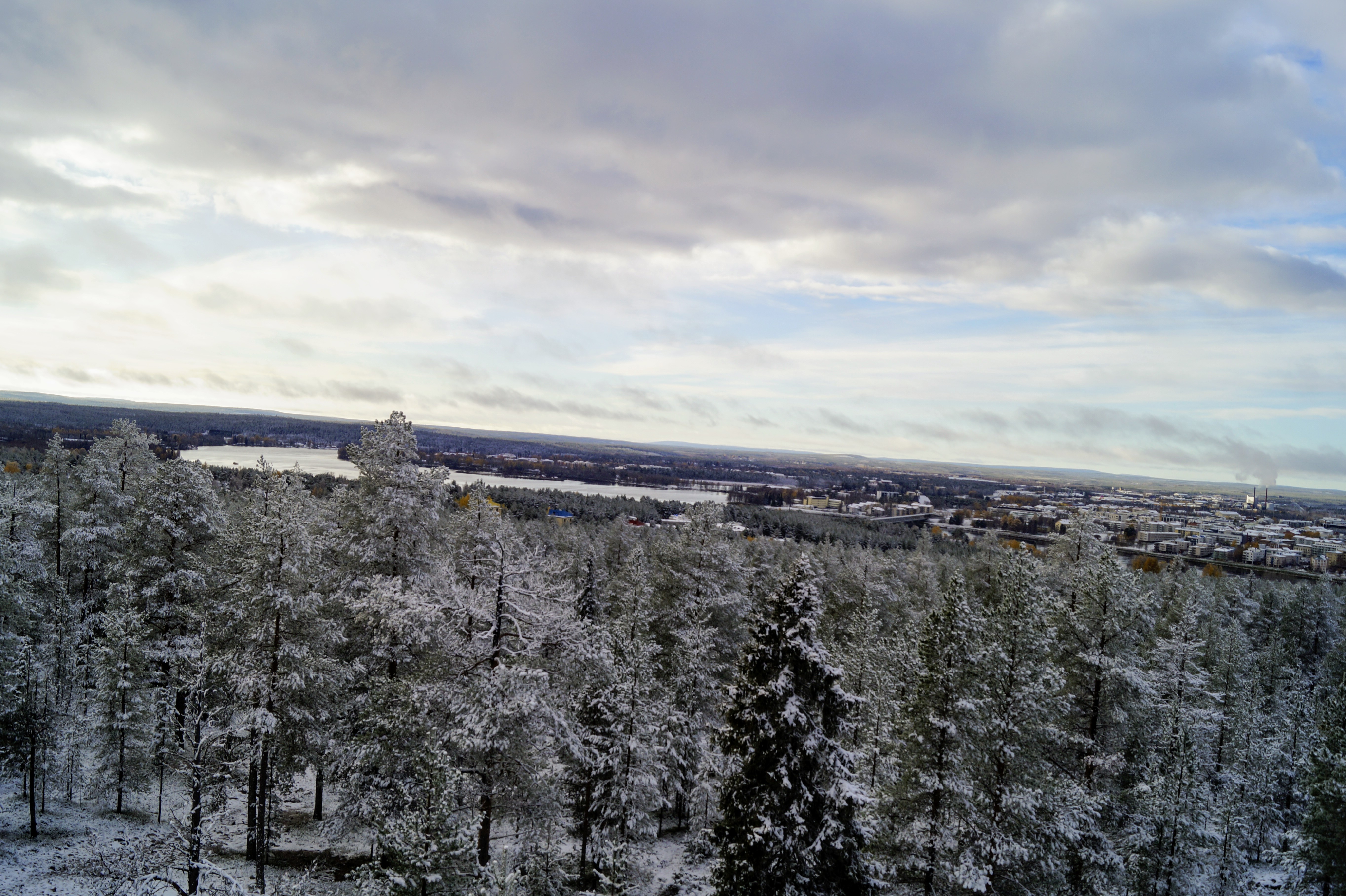 Gallery Nature Photograph 3
