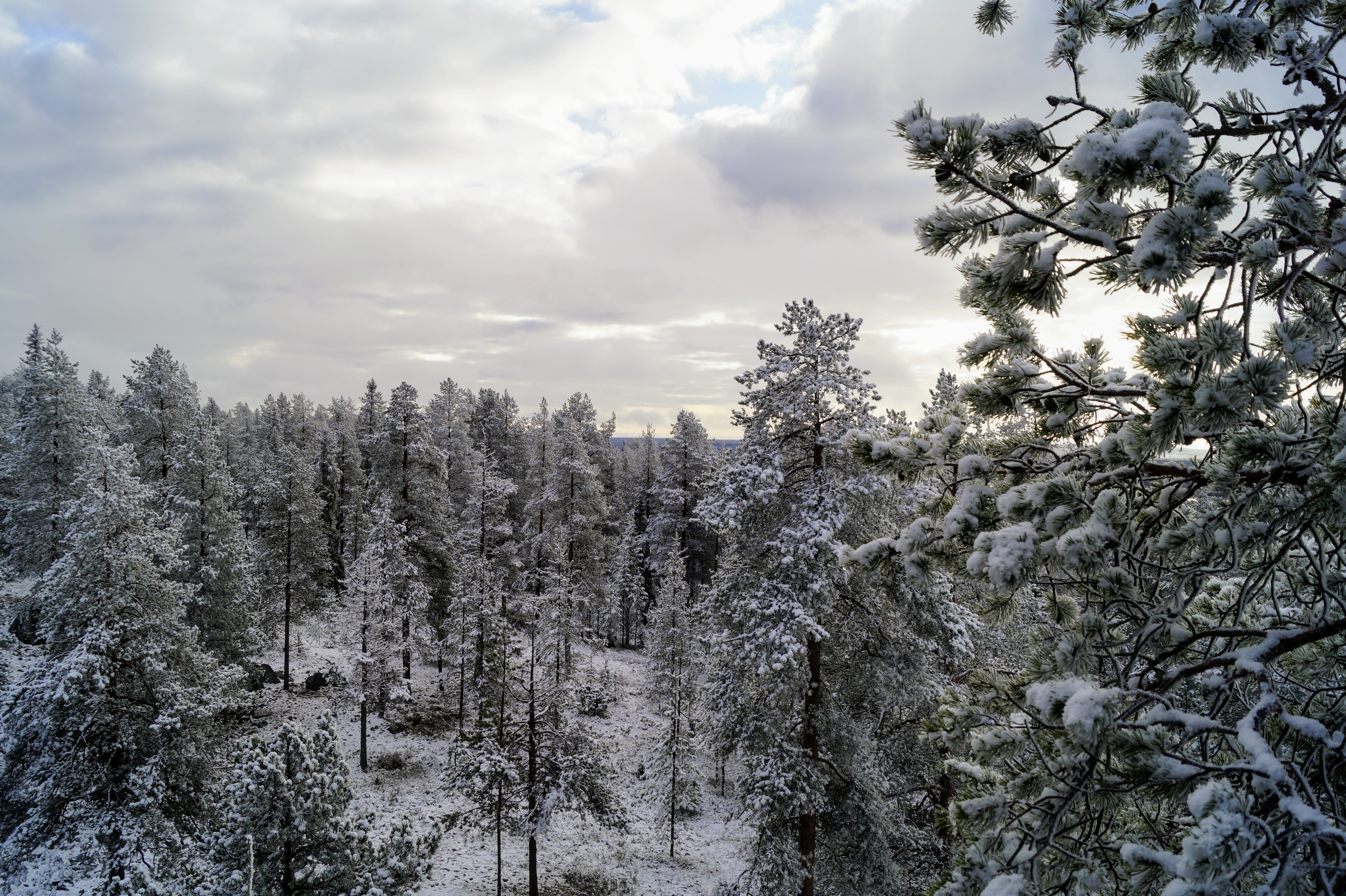 Gallery Nature Photograph 4
