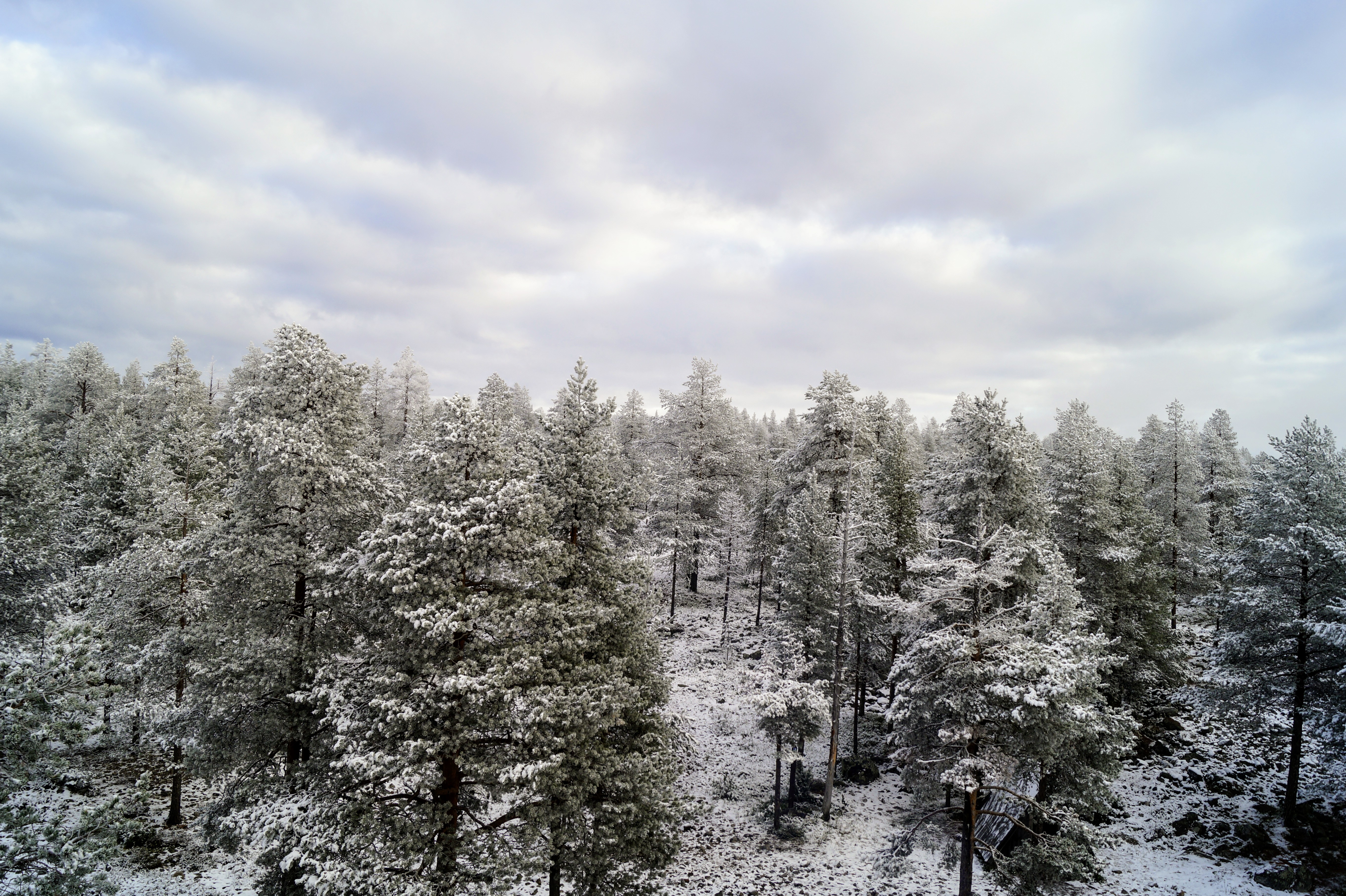 Gallery Nature Photograph 5