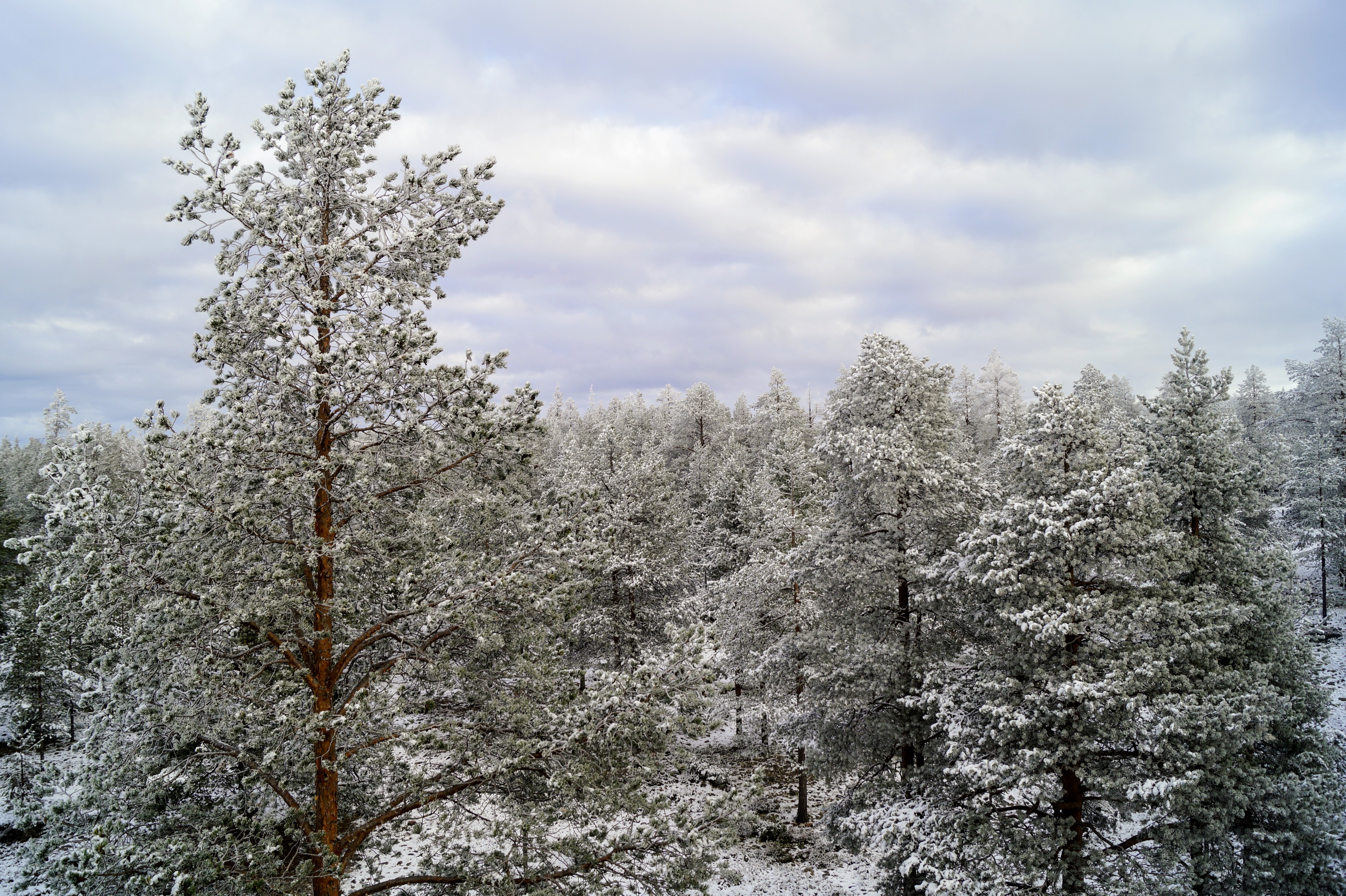 Gallery Nature Photograph 7