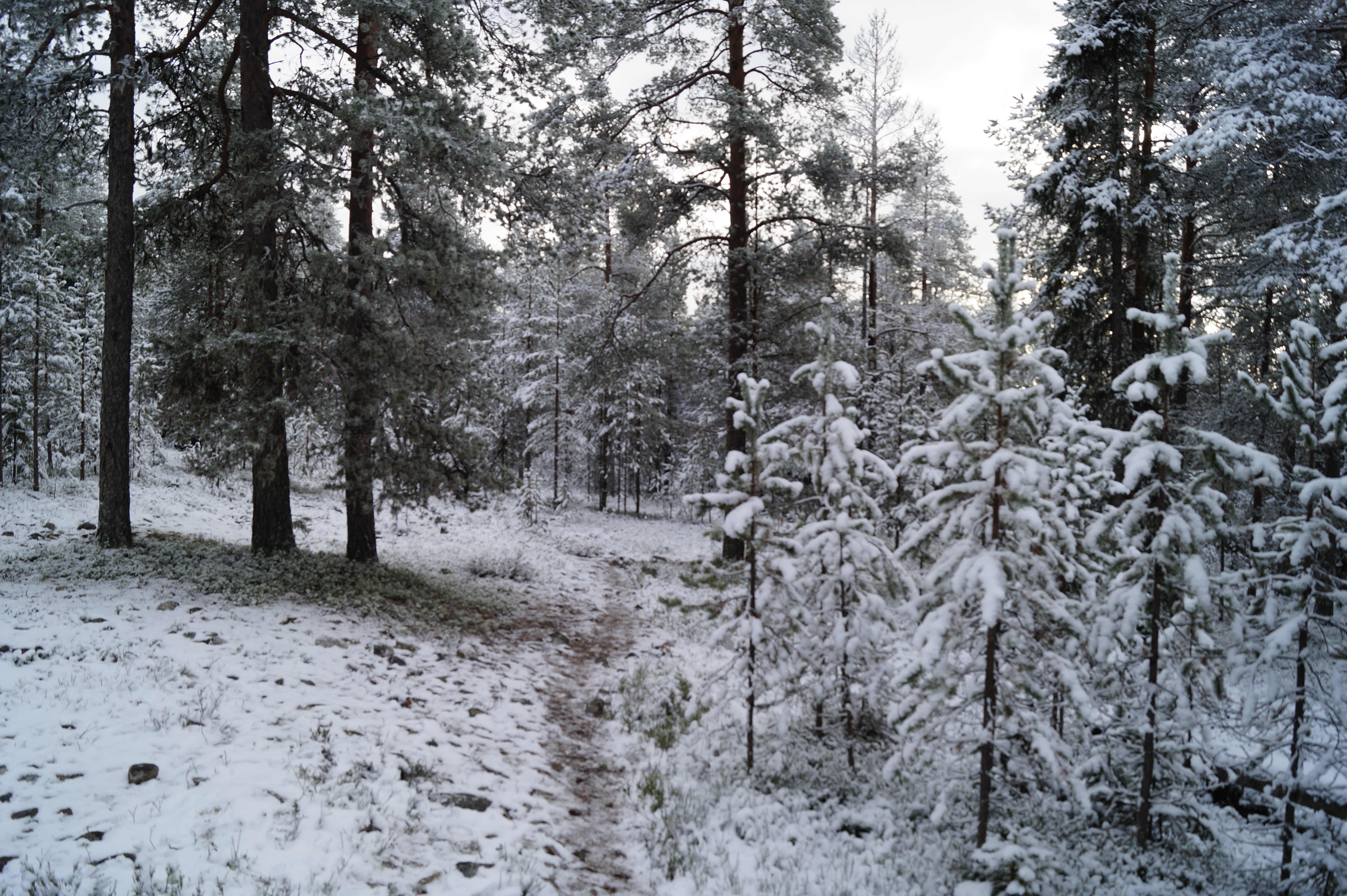 Gallery Nature Photograph 15