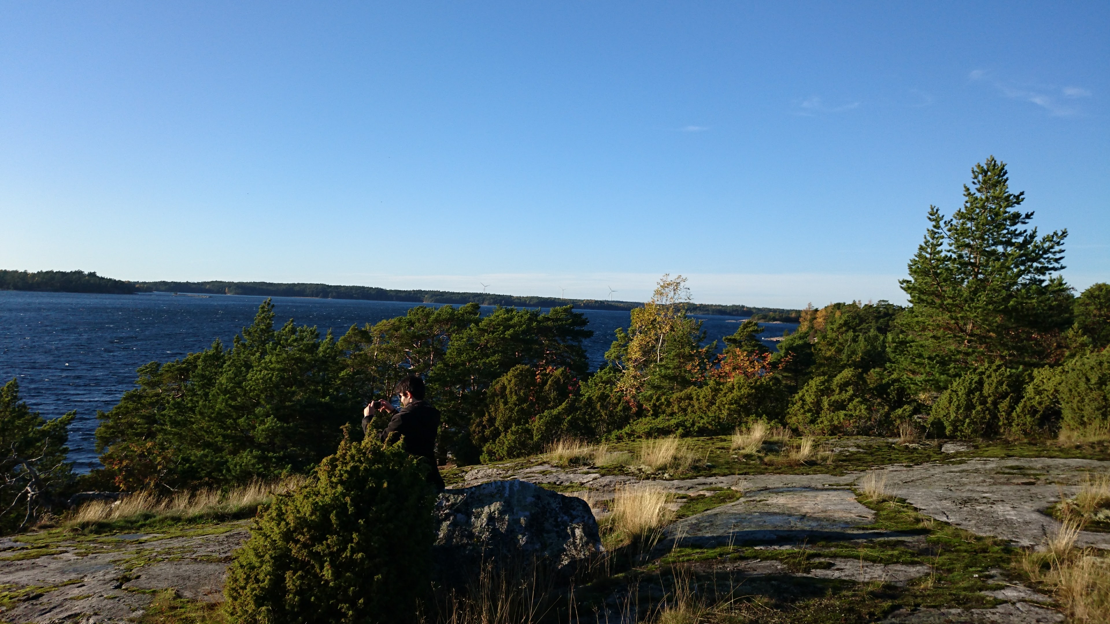 Gallery Nature Photograph 1