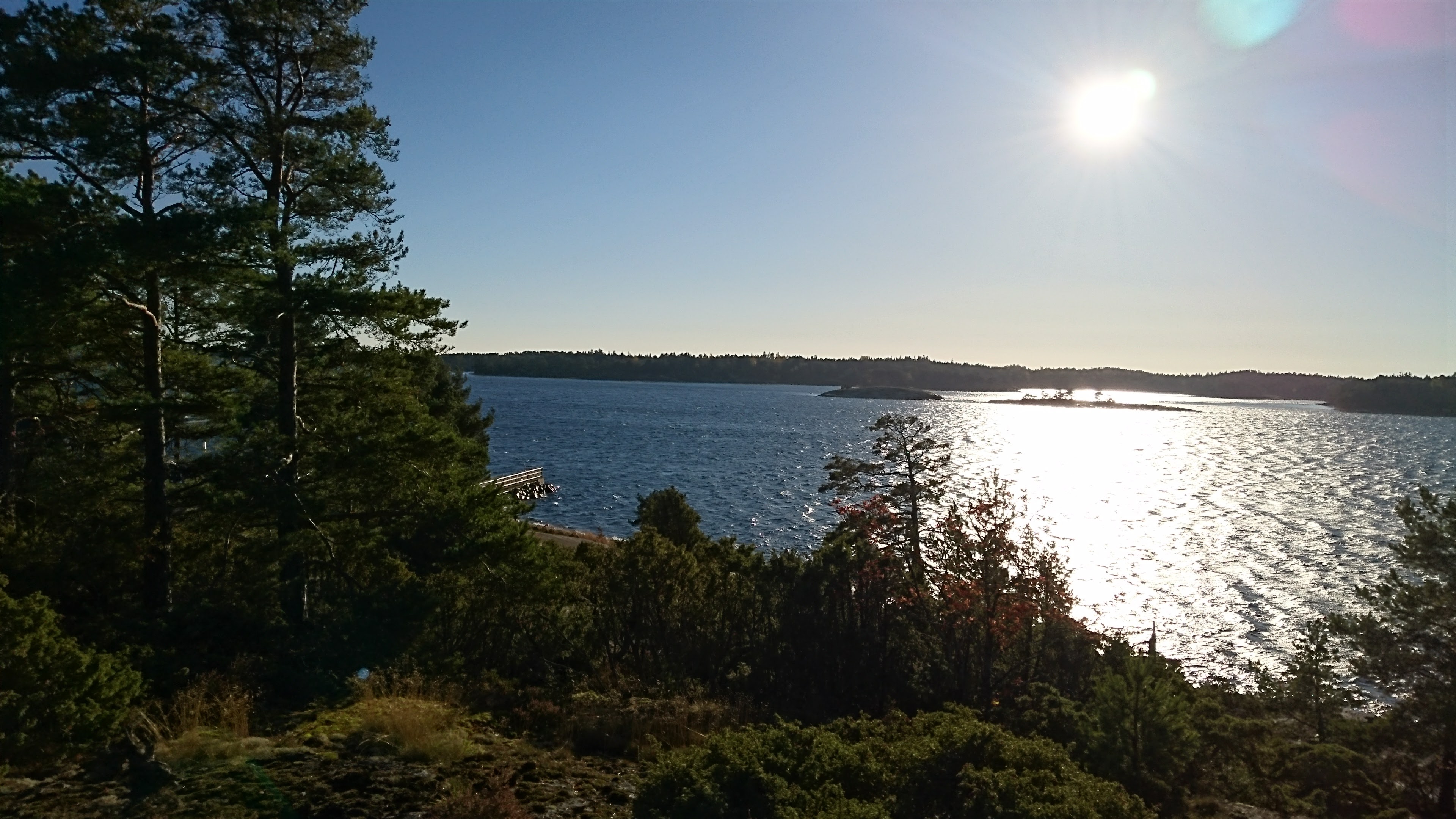 Gallery Nature Photograph 3