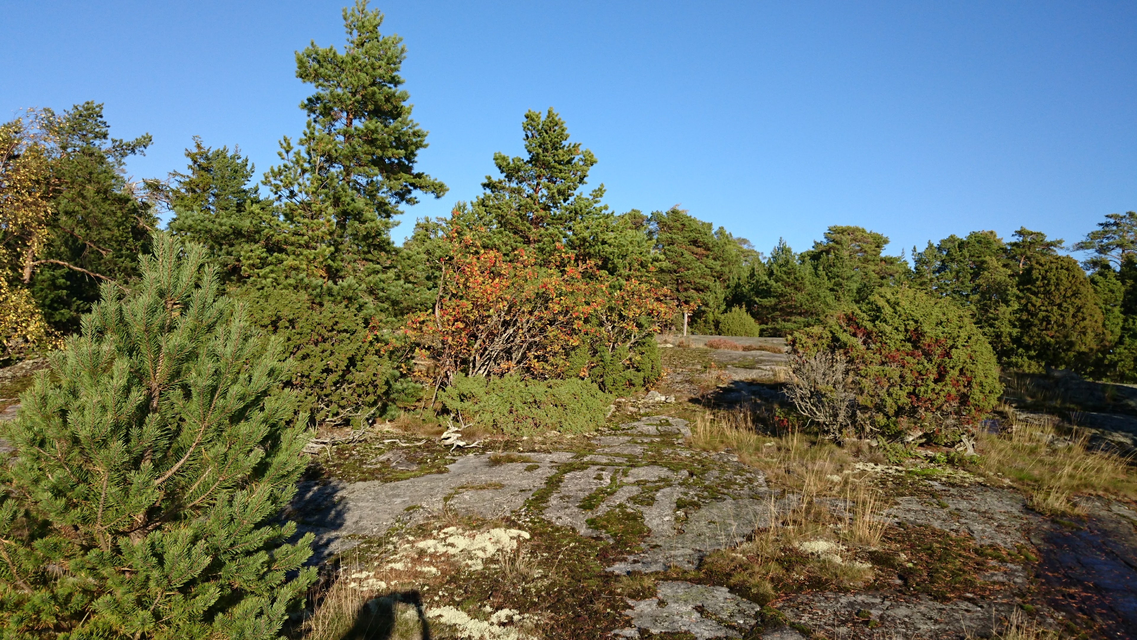 Gallery Nature Photograph 5