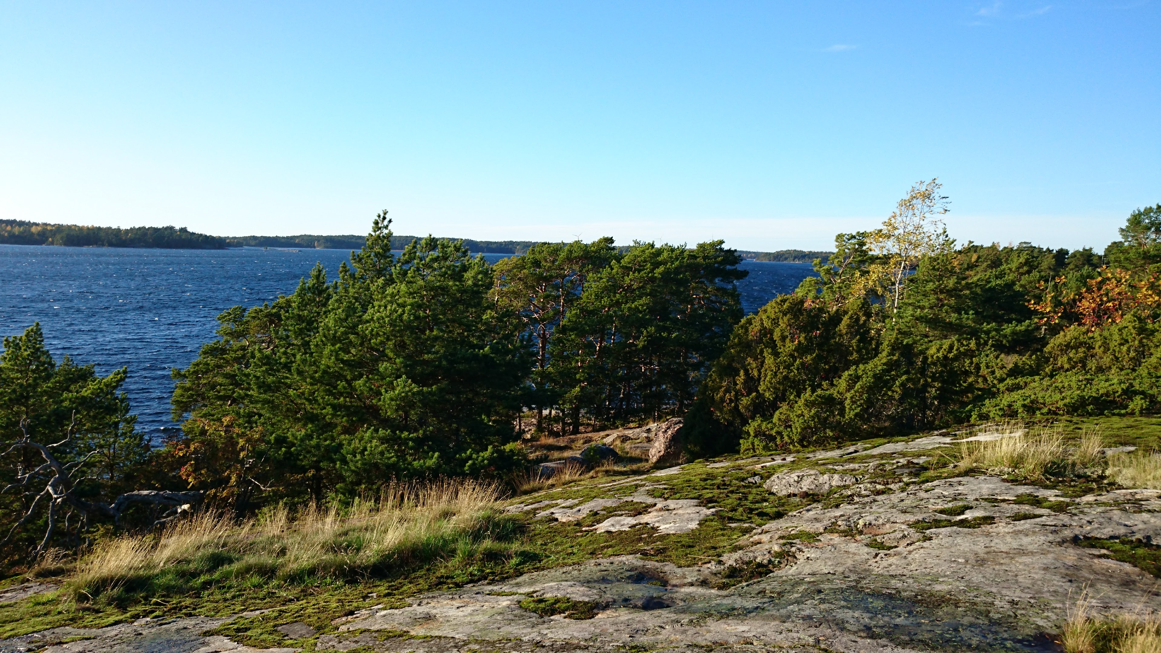 Gallery Nature Photograph 6