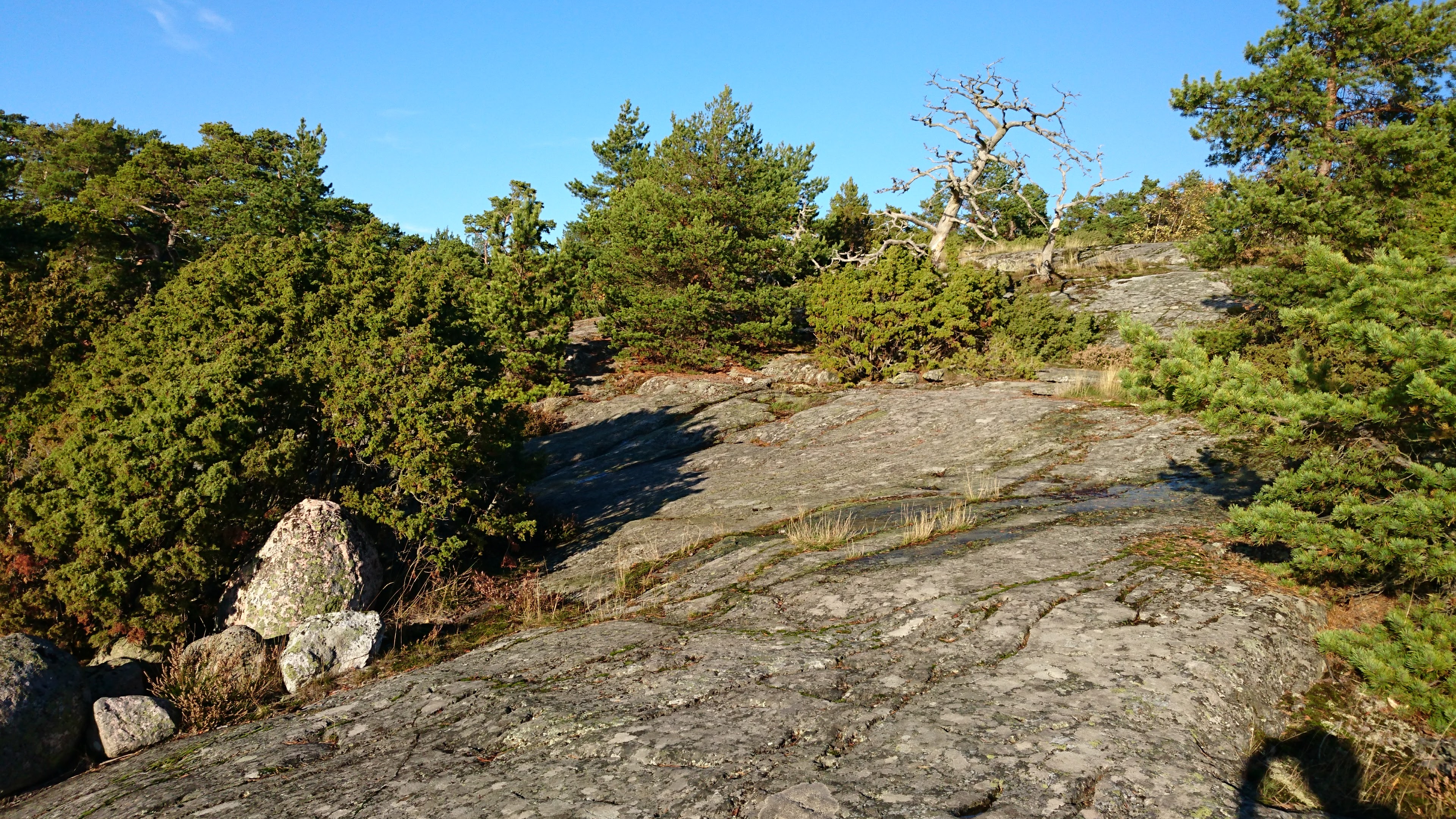 Gallery Nature Photograph 7
