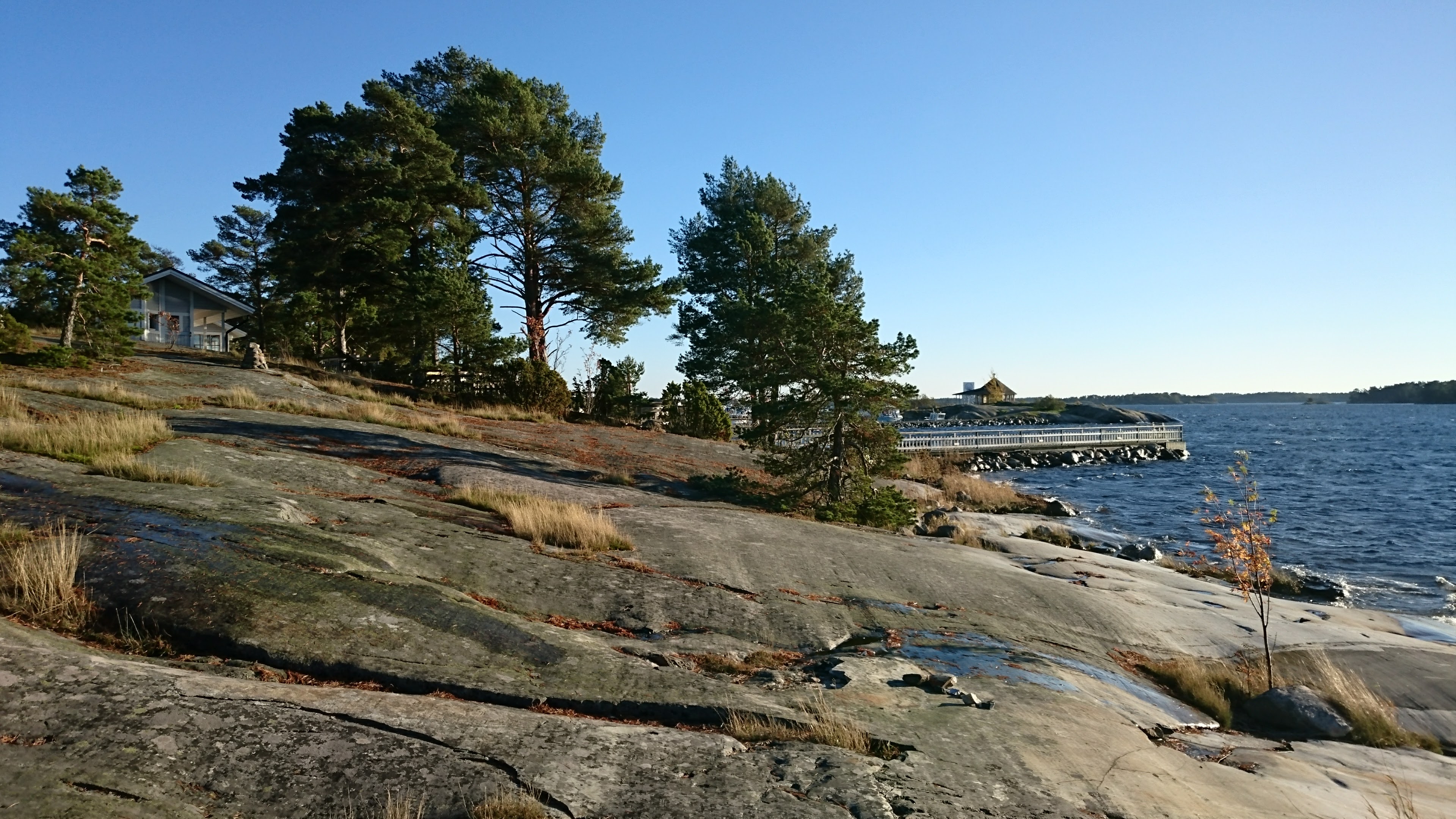 Gallery Nature Photograph 11